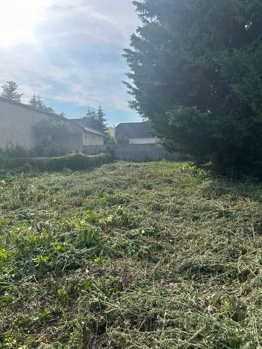 Pozemok zarastený cez dva metre — 1500 m² iba na kotúč — po