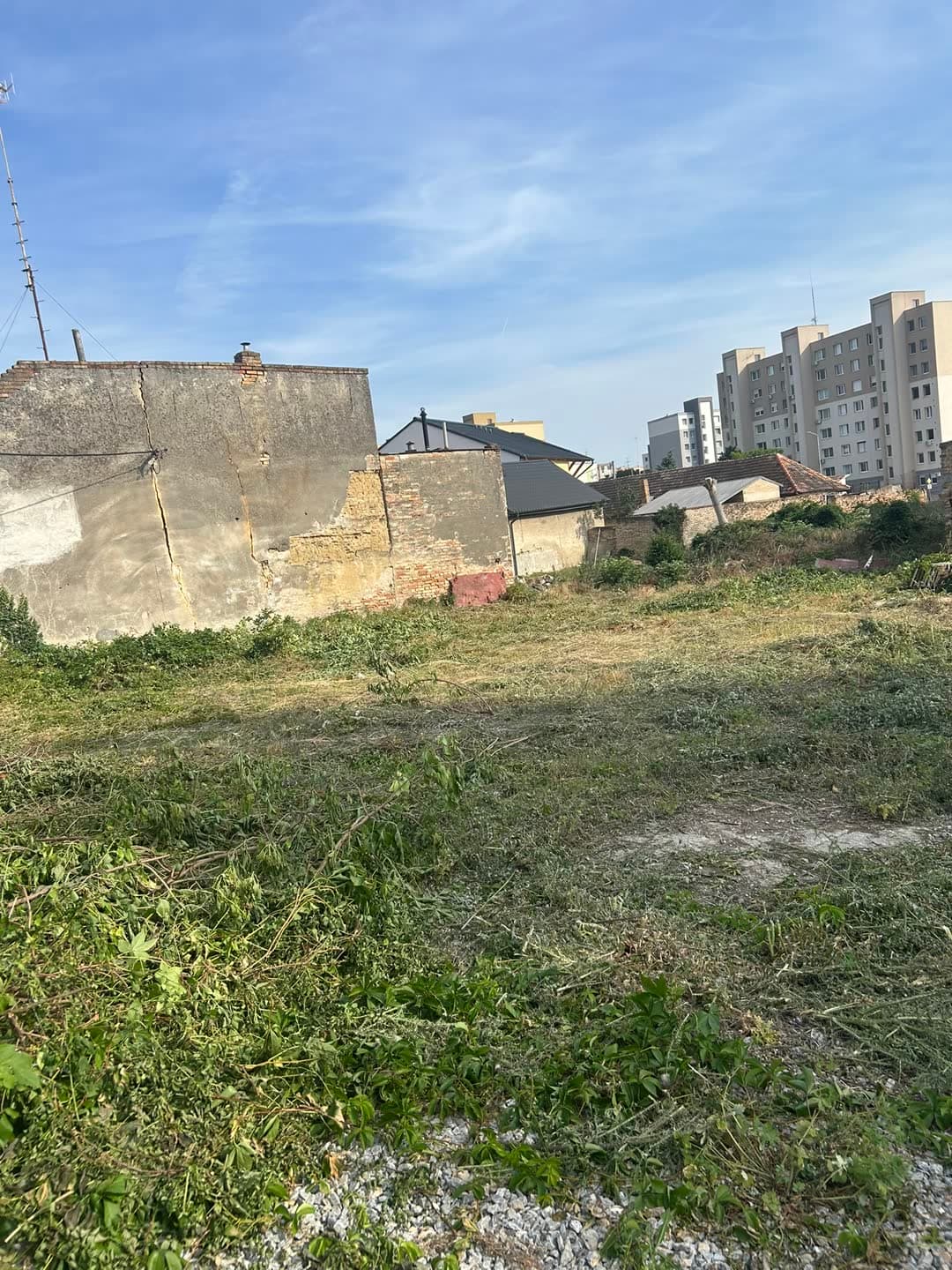Pozemok zarastený cez dva metre — 1500 m² iba na kotúč — 2