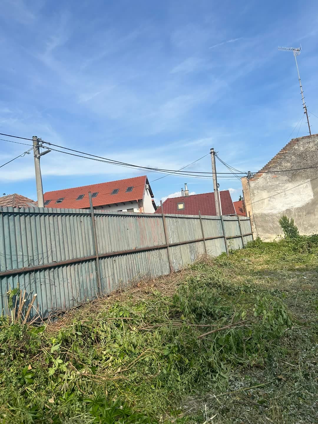 Pozemok zarastený cez dva metre — 1500 m² iba na kotúč — 4