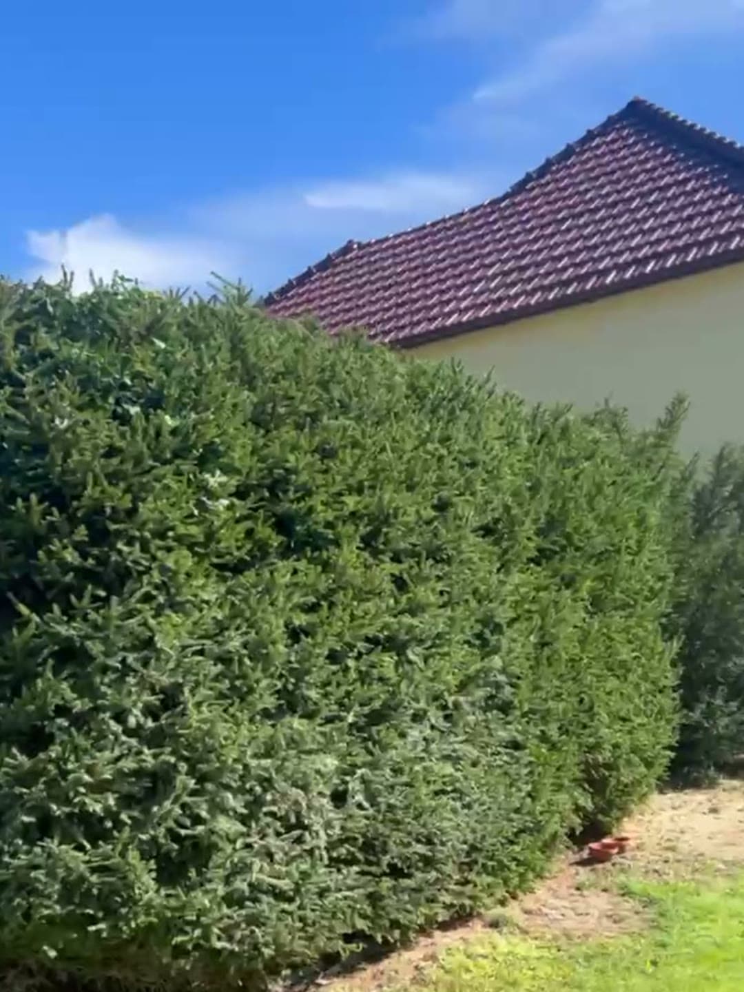Léva: egy kertész helyett, aki akkor jött, amikor kedve tartotta — 4