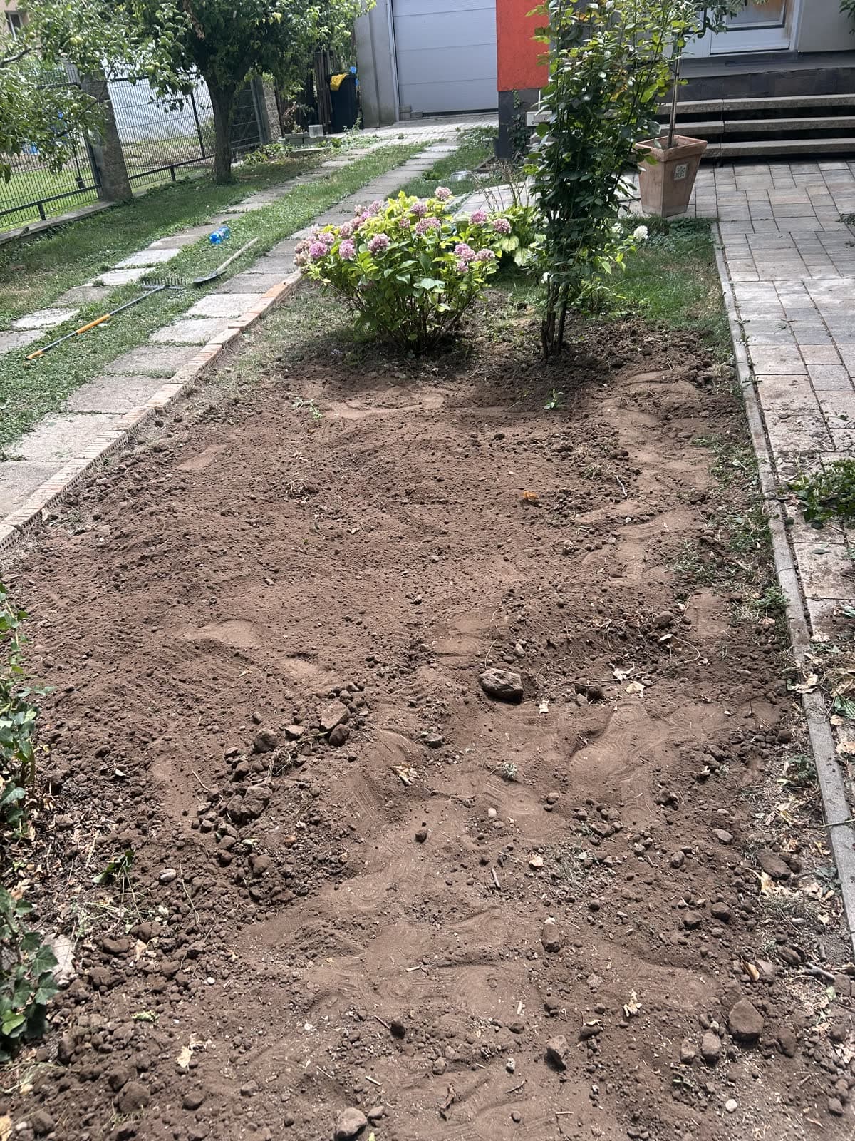 Előkert hortenziákkal — az álom, amit évekig eltakart a gyom — 3