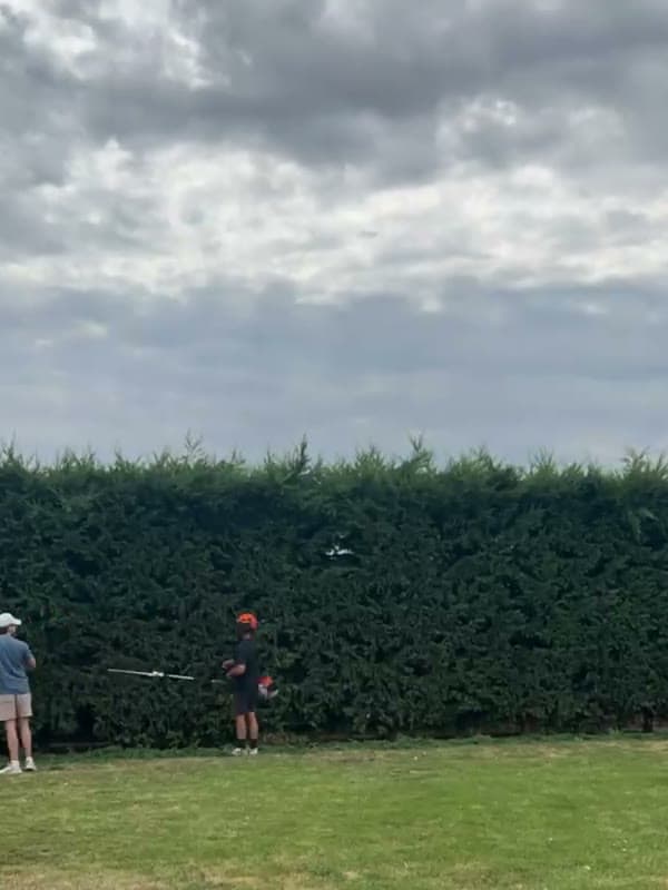 Obrovský živý plot — skrátený z boku aj z vrchu — 1