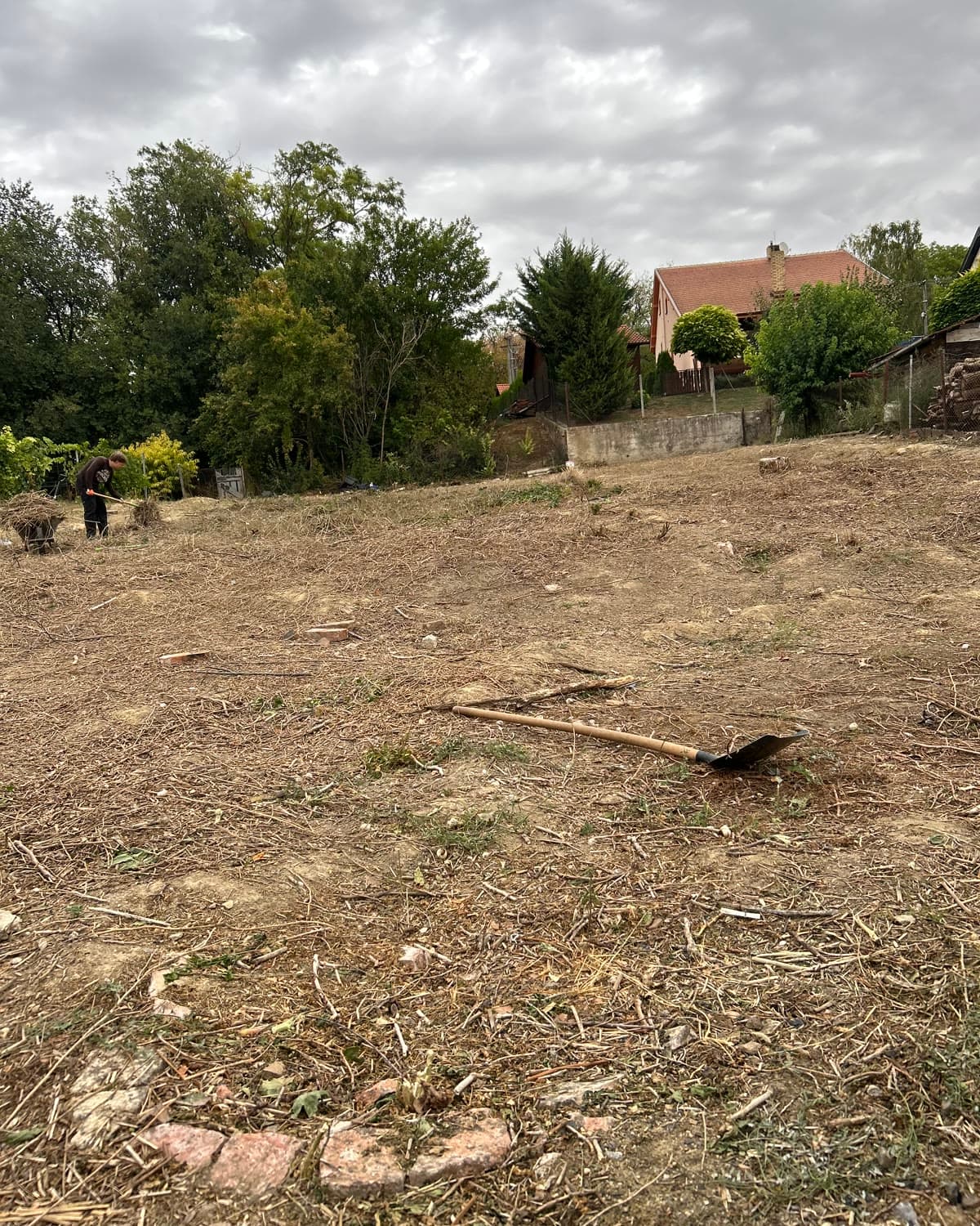 Kúpili dom, pracujú v zahraničí — a pozemok zarastený brečtanom — Po