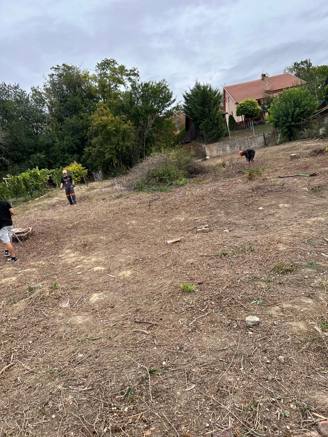 Kúpili dom, pracujú v zahraničí — a pozemok zarastený brečtanom — 3