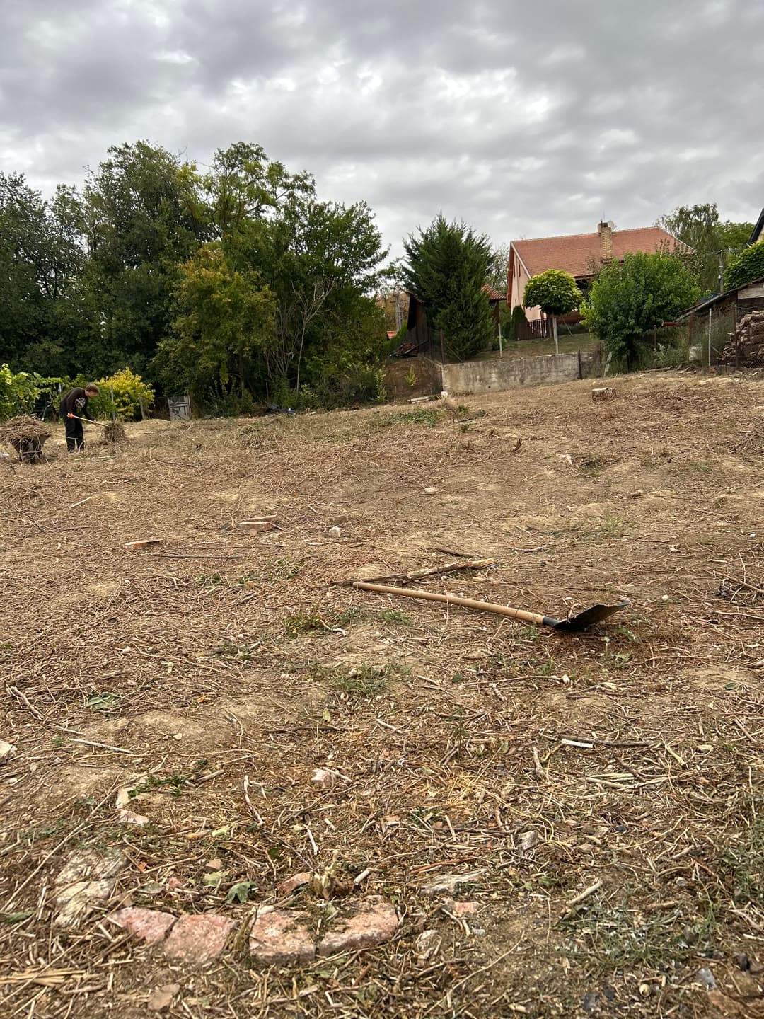 Kúpili dom, pracujú v zahraničí — a pozemok zarastený brečtanom — 4