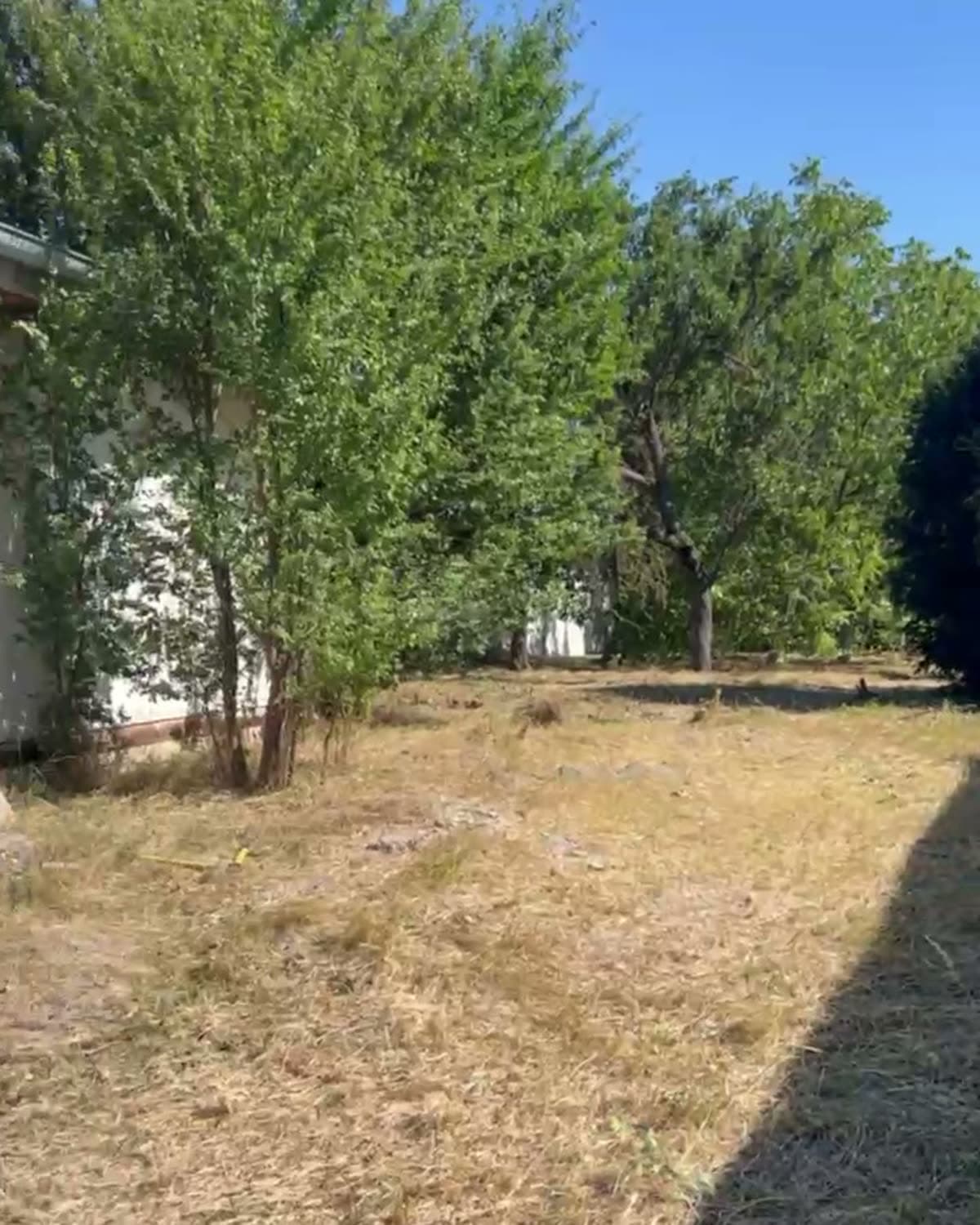 Pozemok, na ktorý sa nedalo vojsť — 1 600 m² džungle za dva dni — Po