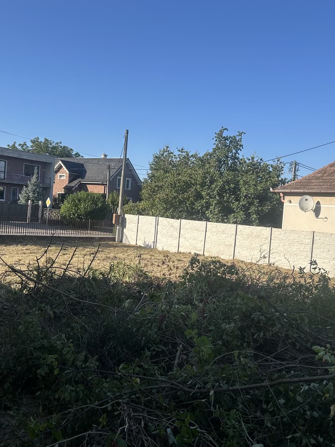 Pozemok, na ktorý sa nedalo vojsť — 1 600 m² džungle za dva dni — 2