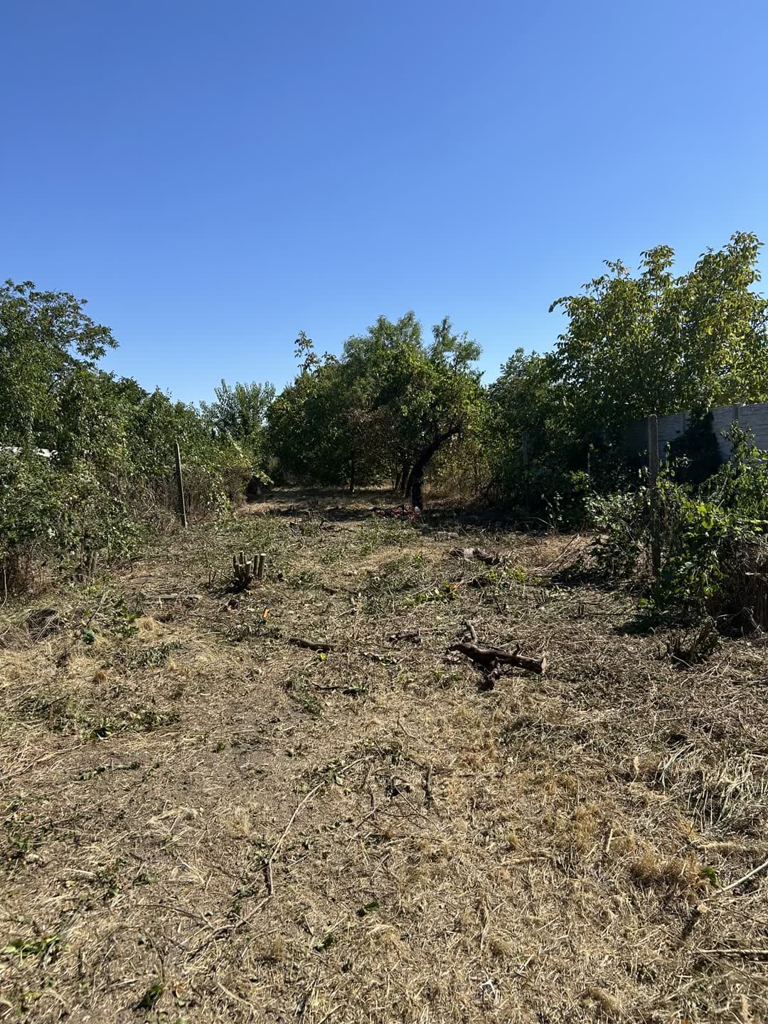 Pozemok, na ktorý sa nedalo vojsť — 1 600 m² džungle za dva dni — 3