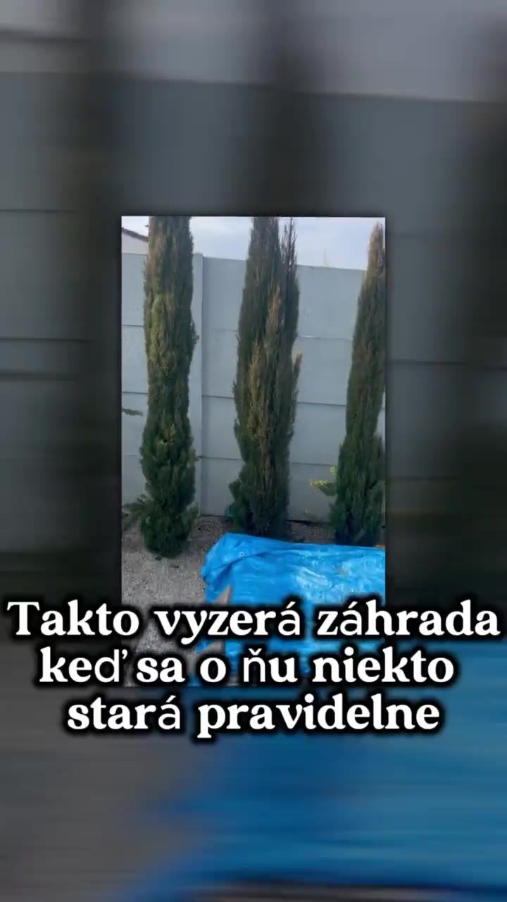 Munka a kertben