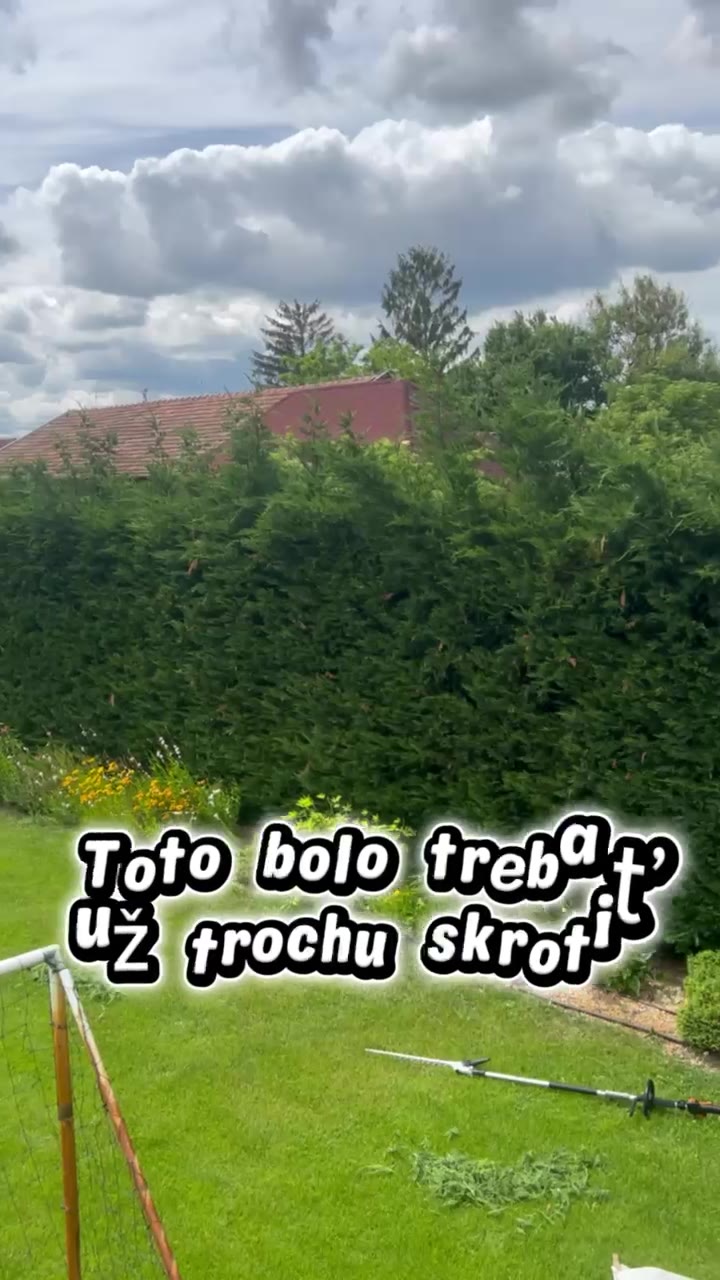 Strihanie živého plota
