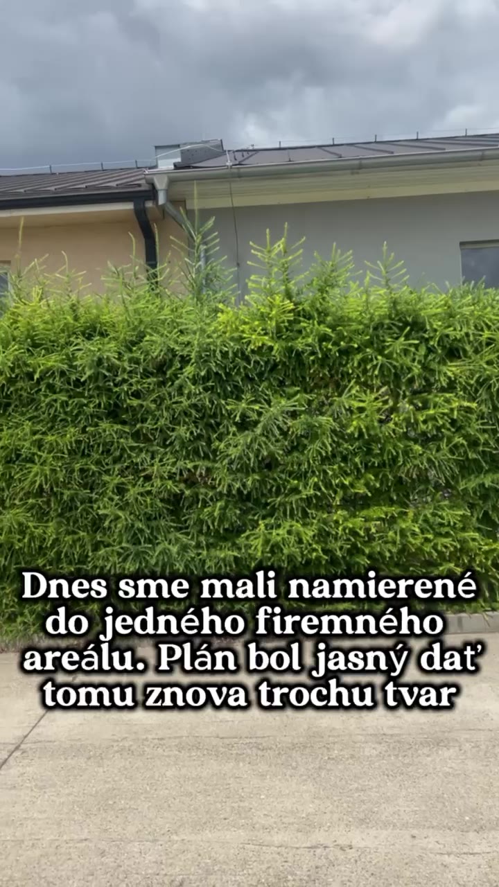 Firemný areál — tvarovanie plotov