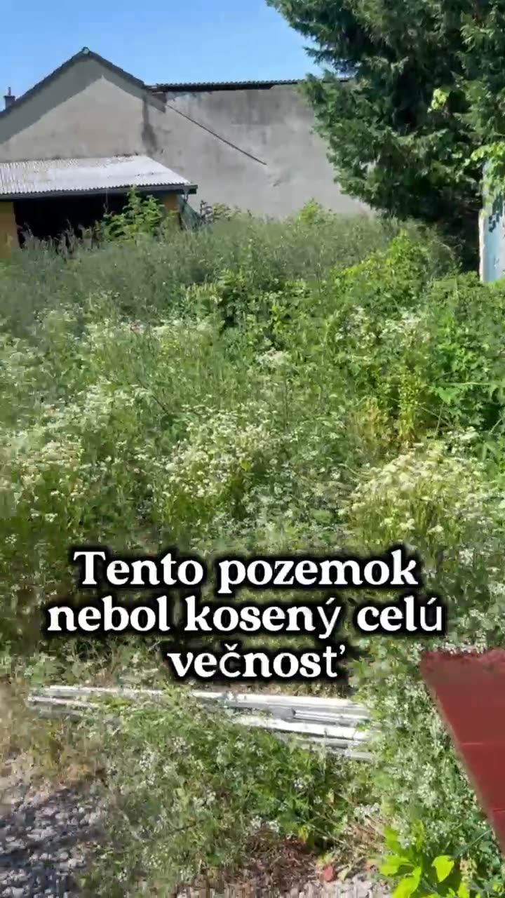 Kosenie zarasteného pozemku — 1500 m²