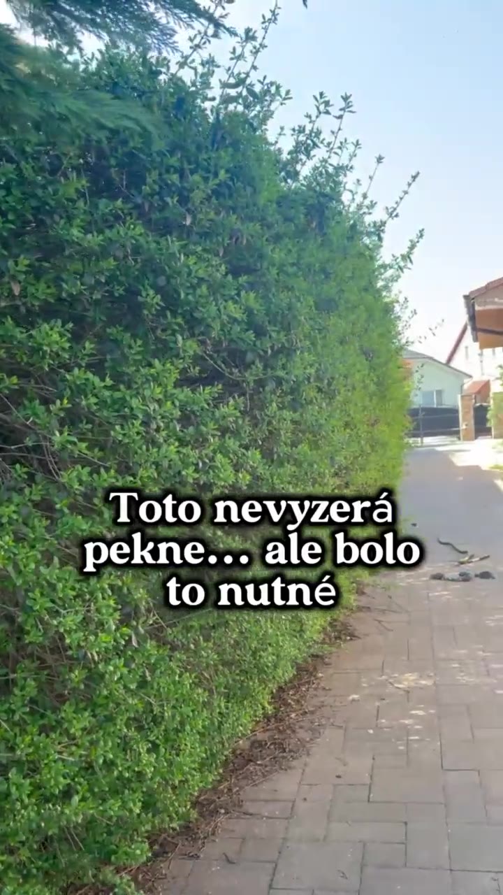 Kerti munkák