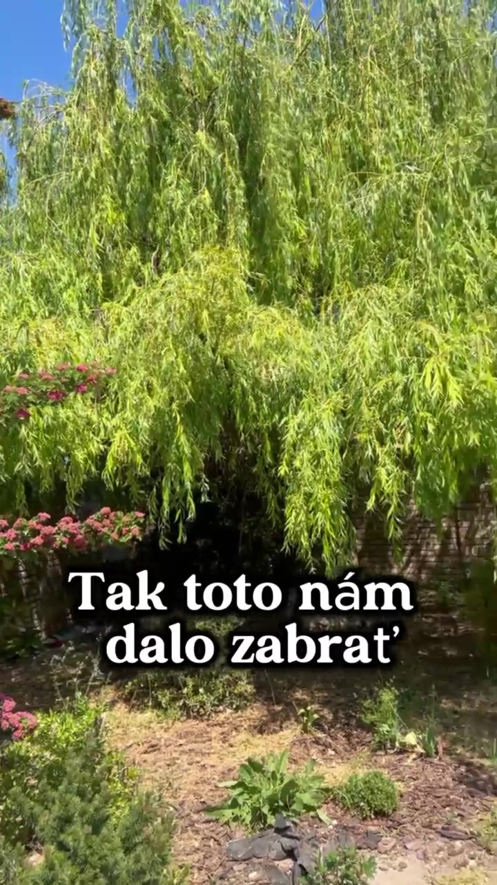 Munka Érsekújváron